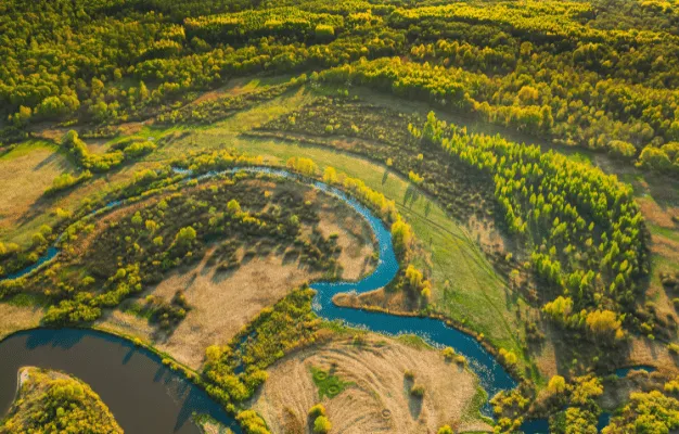 A Complex Conservation Planning System