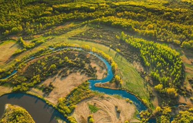 Discover how House of Angular developed a Complex Conservation Planning System