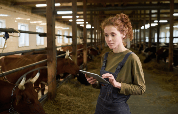 A Custom Animal Food Sales App